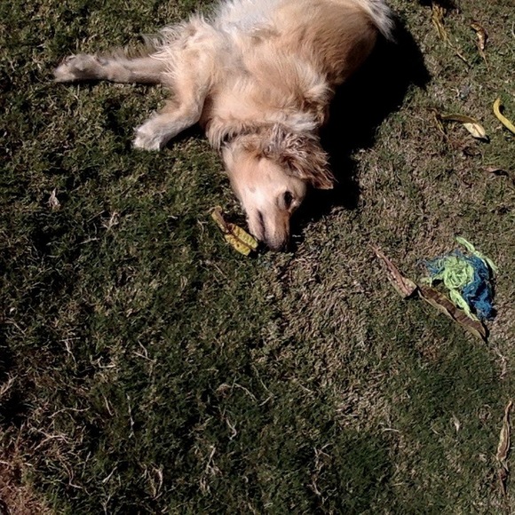 Meet your Posher, Erica - Picture 1 of 1